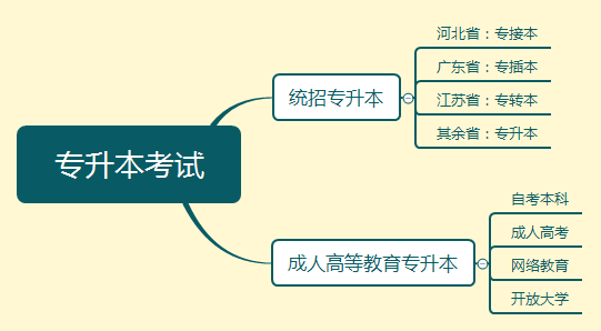 山东统招专升本，解读政策、流程与备考策略