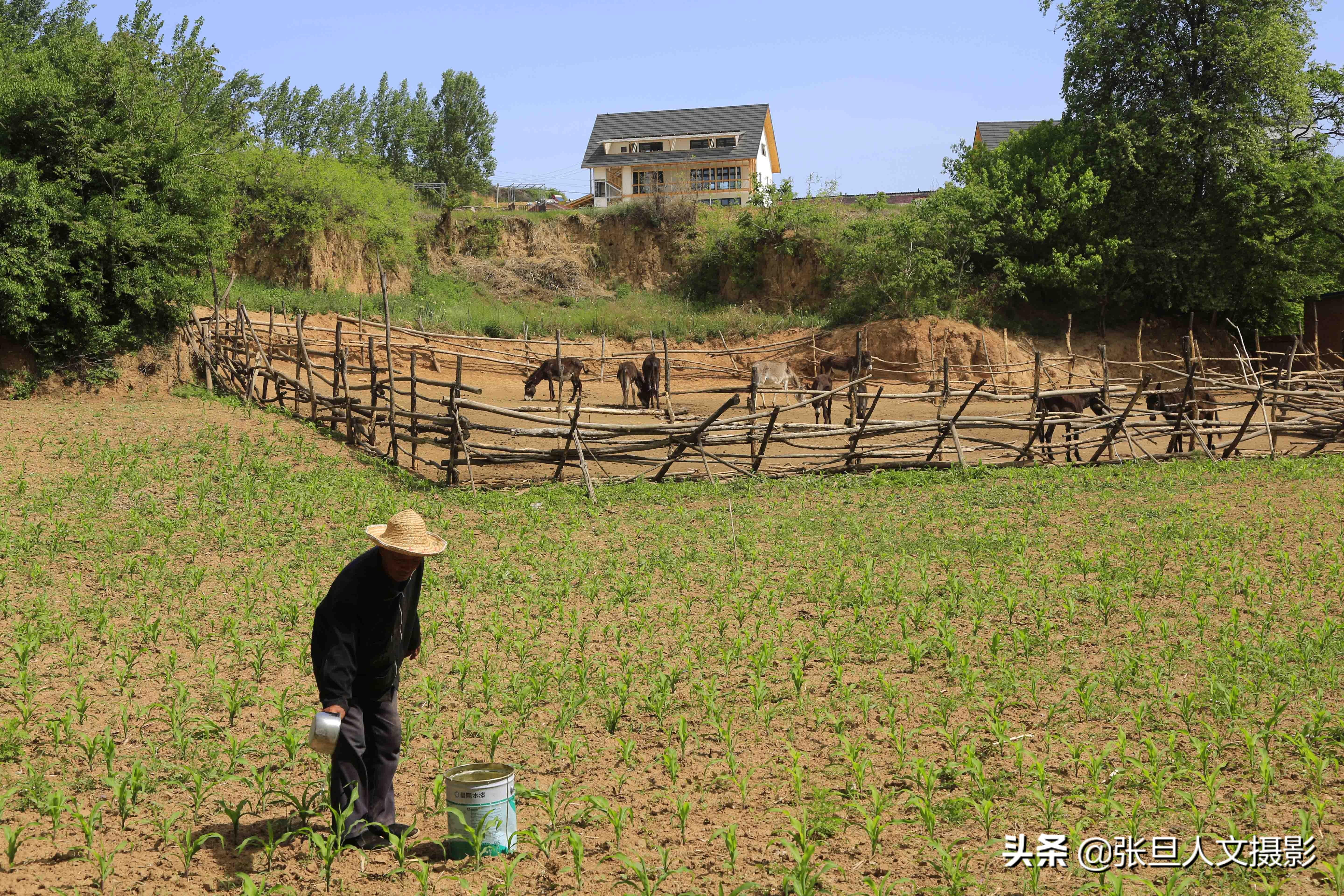 山西不锈钢管弯圆价格深度解析