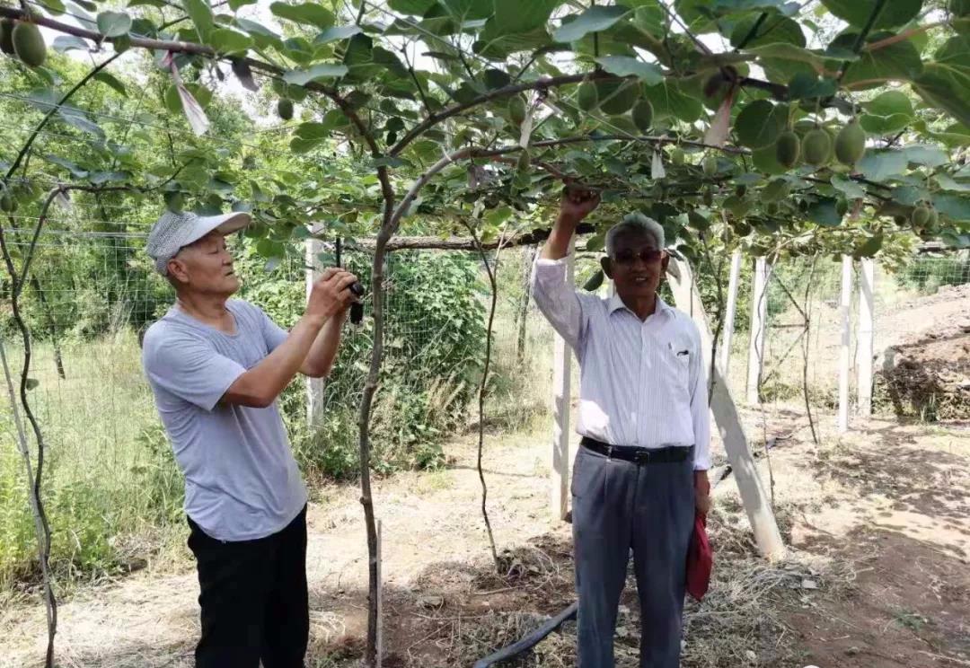 山东省大学生考试网，助力学子圆梦未来的重要平台